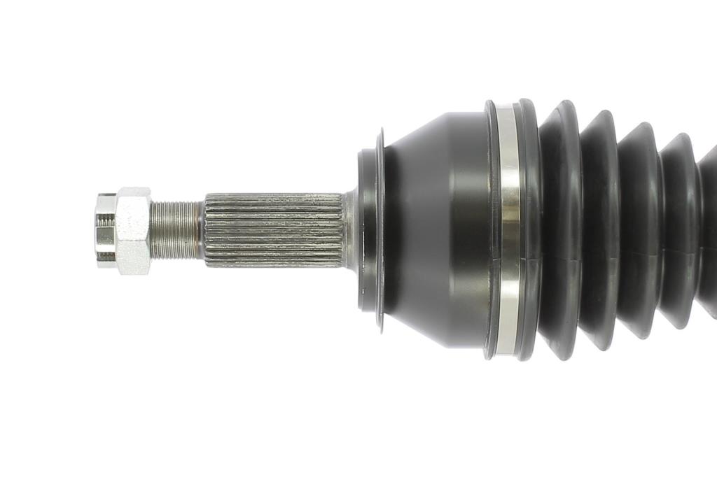 Cardã CEVAM 50282