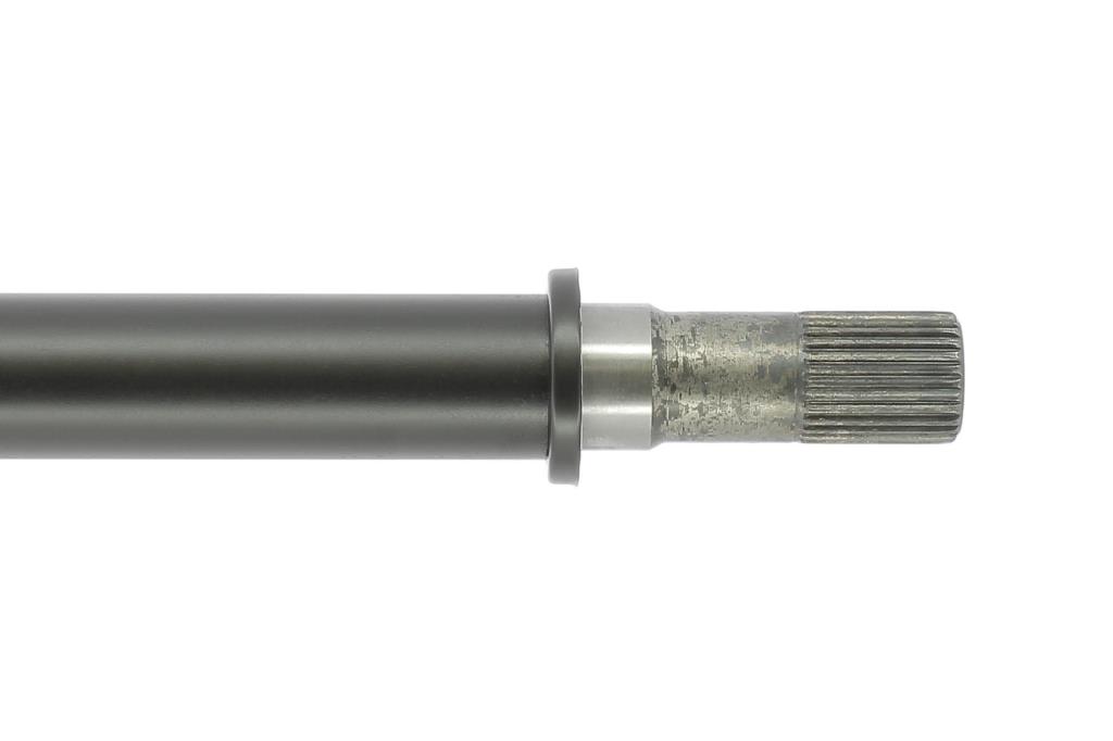 Cardã CEVAM 50282