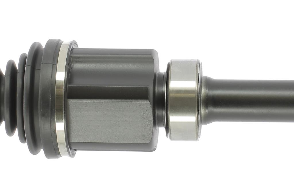 Cardã CEVAM 50282