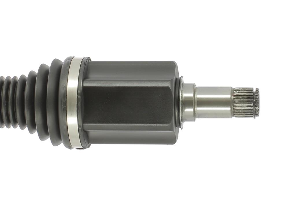 Cardã CEVAM 50296
