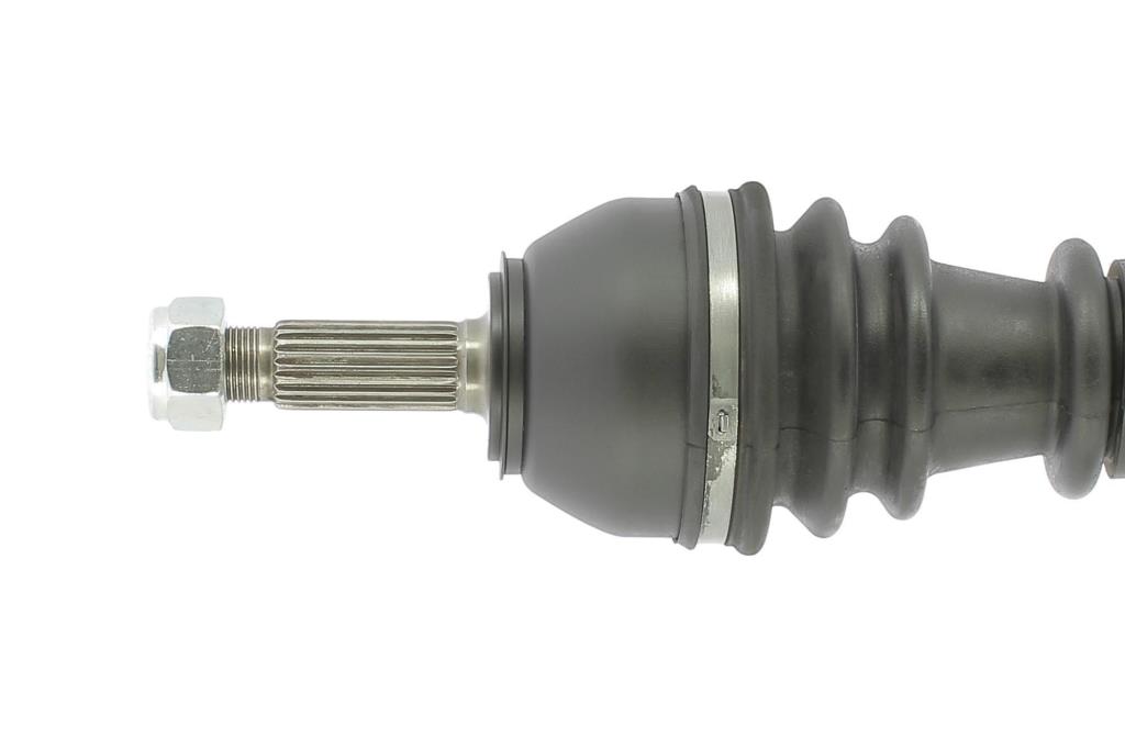 Cardã CEVAM 5031