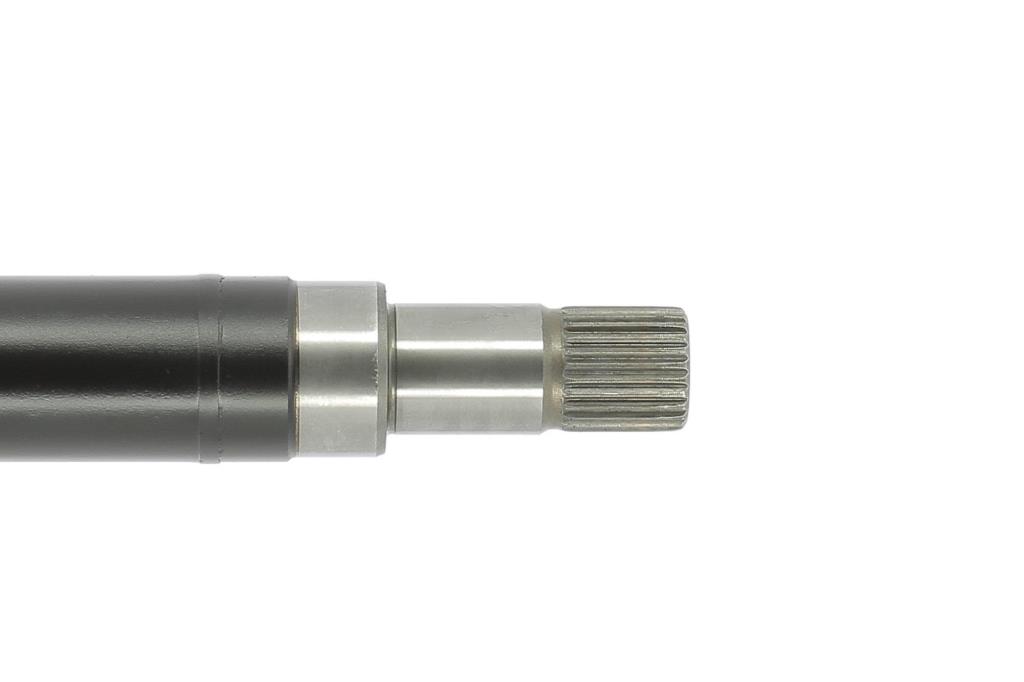 Cardã CEVAM ref. 50312