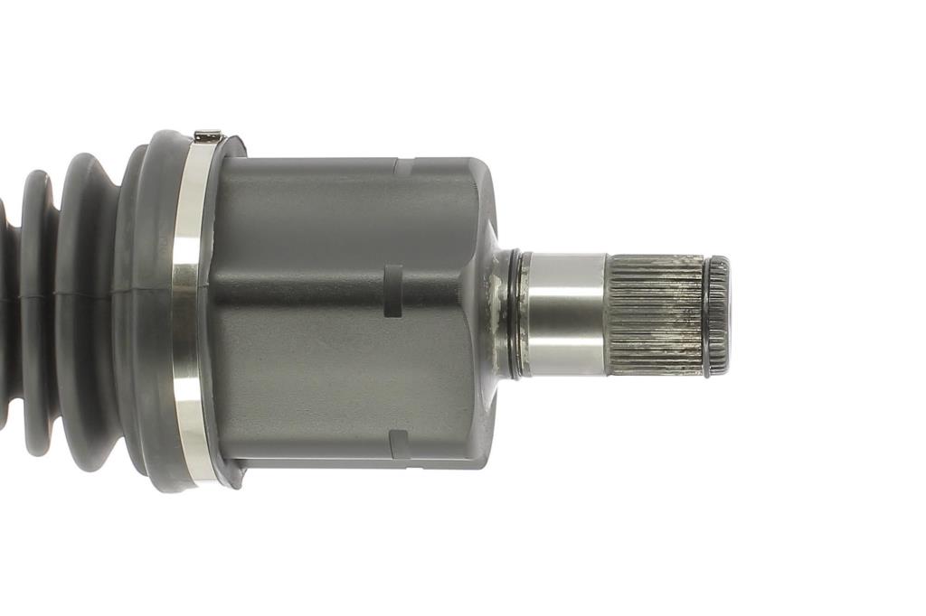 Cardã CEVAM 50487