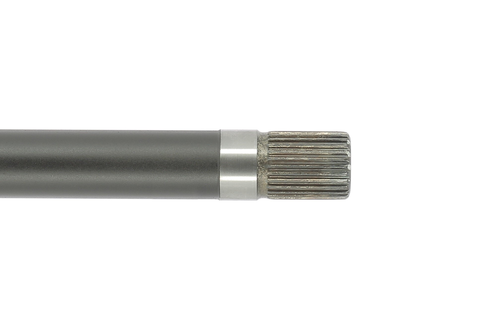 Cardã CEVAM ref. 50522
