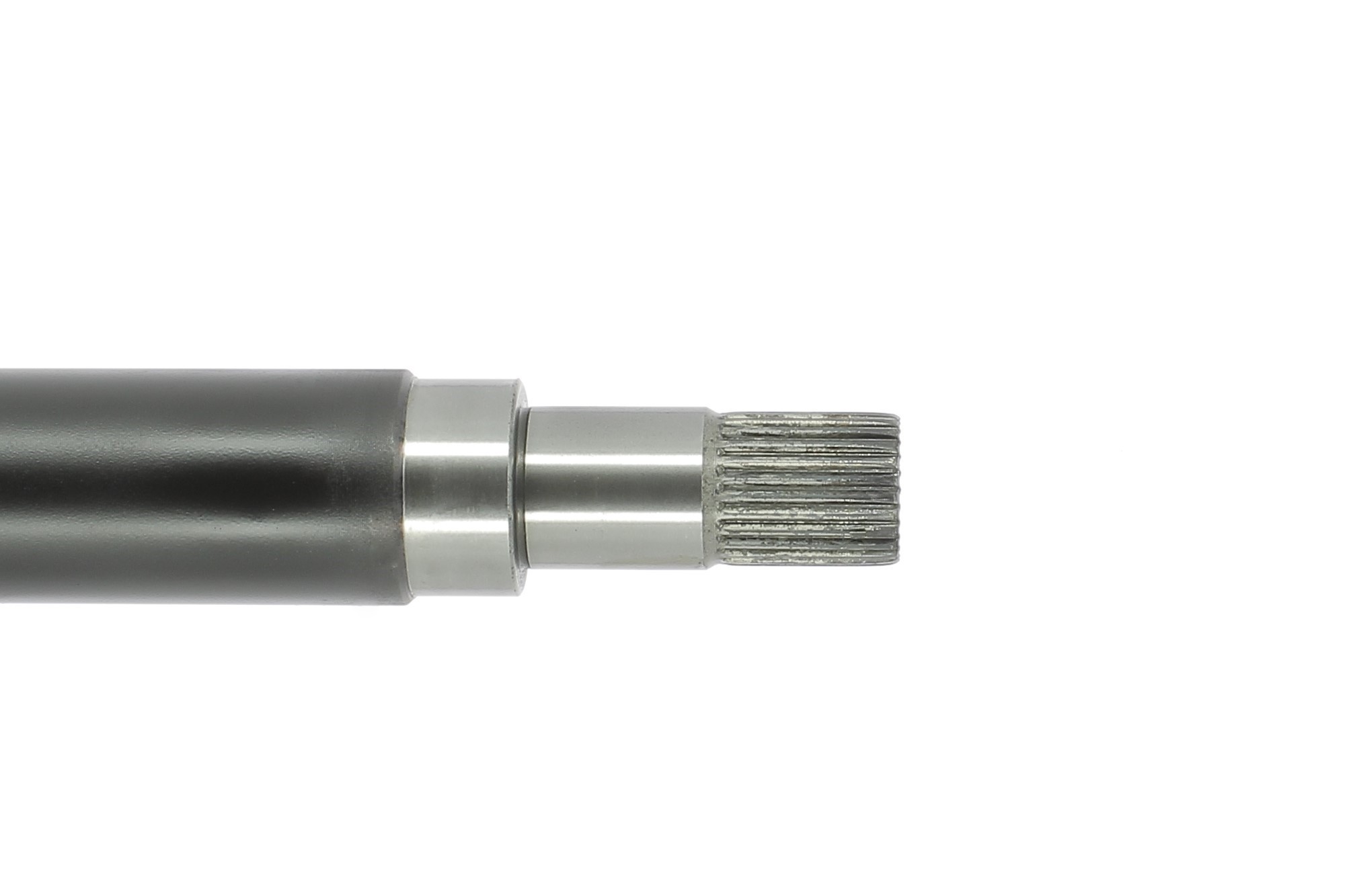Cardã CEVAM 50816
