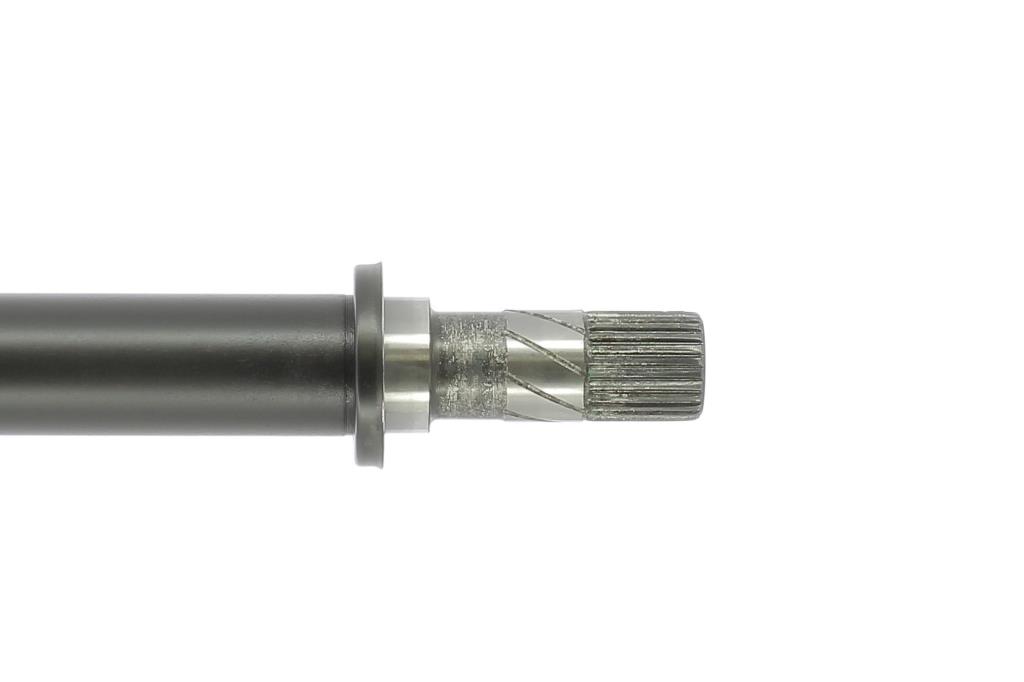 Cardã CEVAM 50856