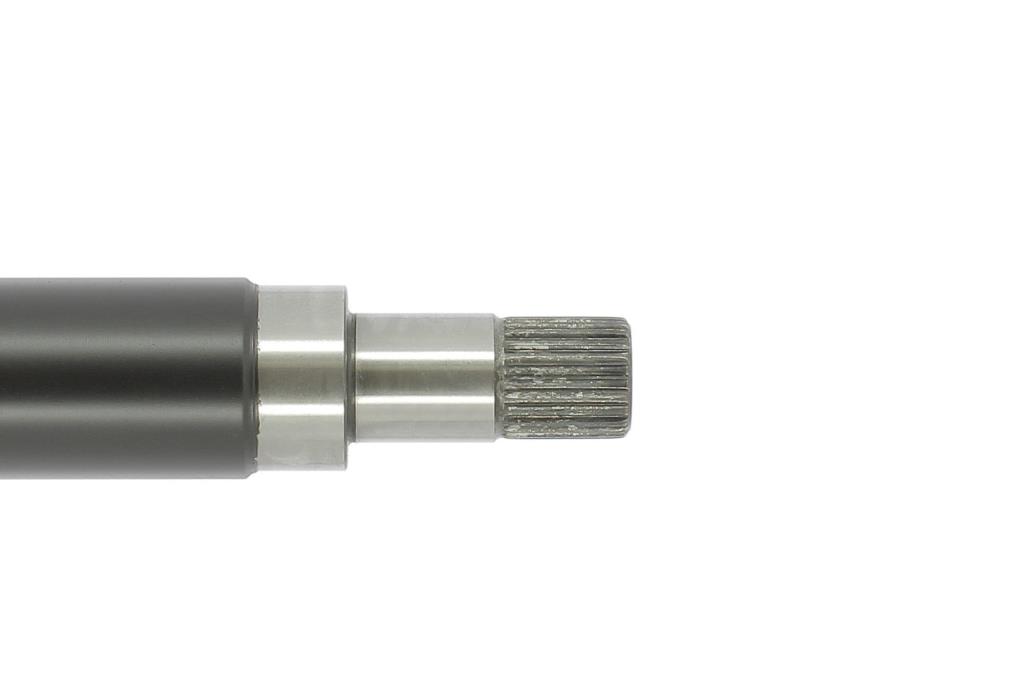 Cardã CEVAM ref. 50924