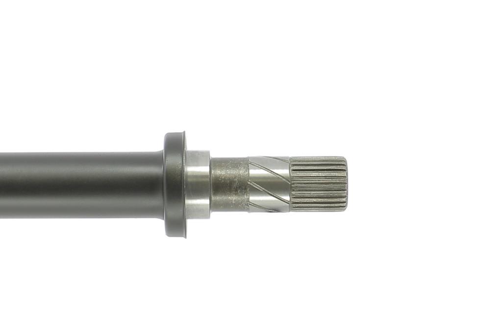 Cardã CEVAM 50984