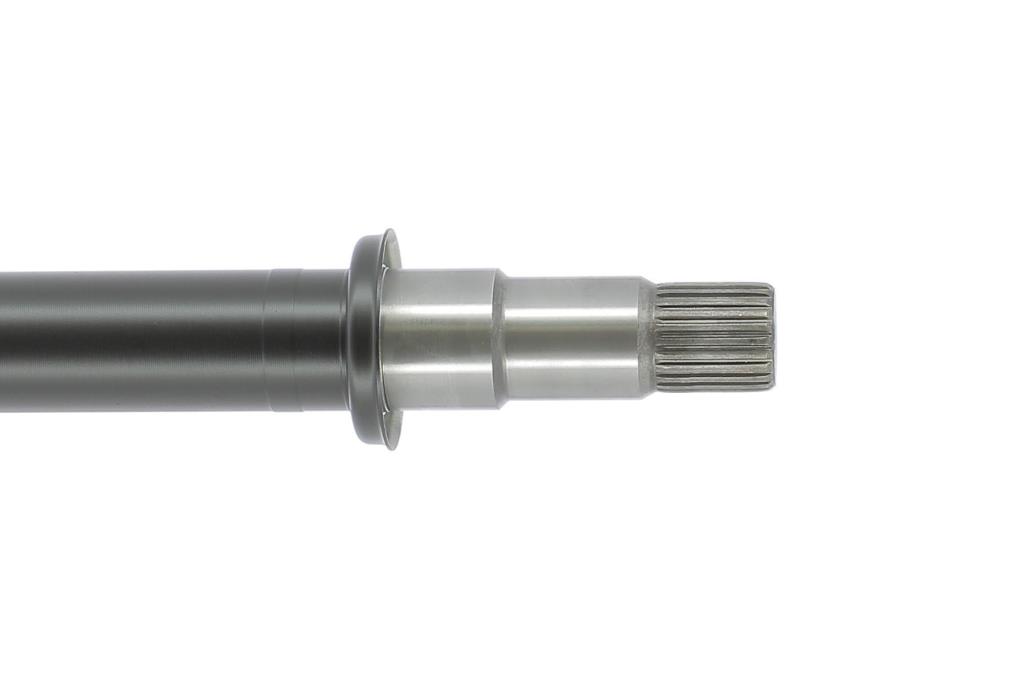 Cardã CEVAM 51264