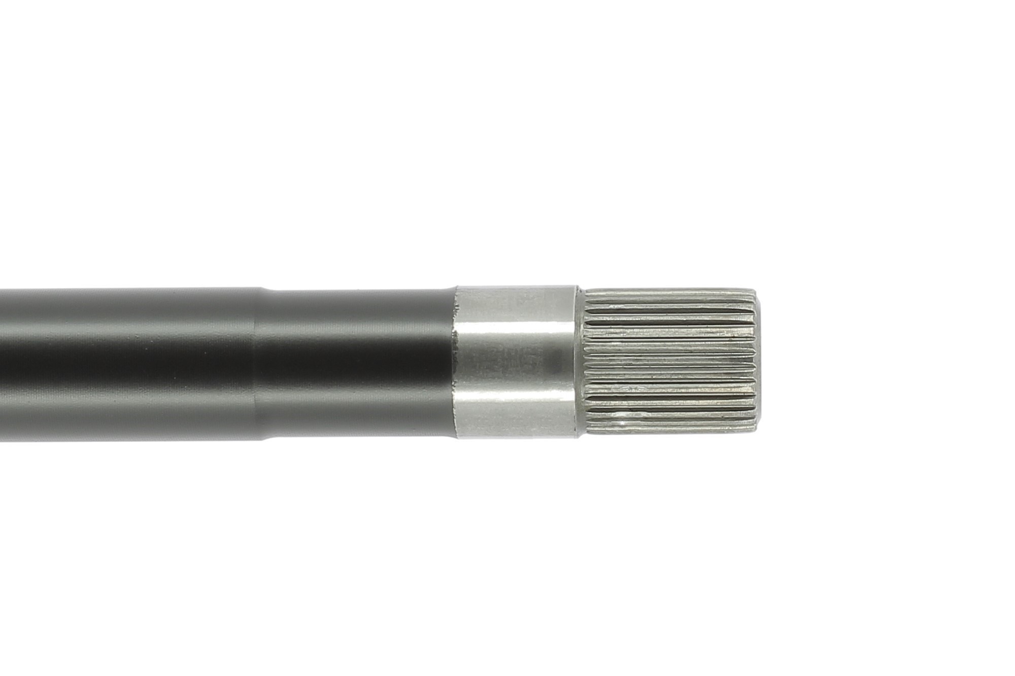 Cardã CEVAM 51289