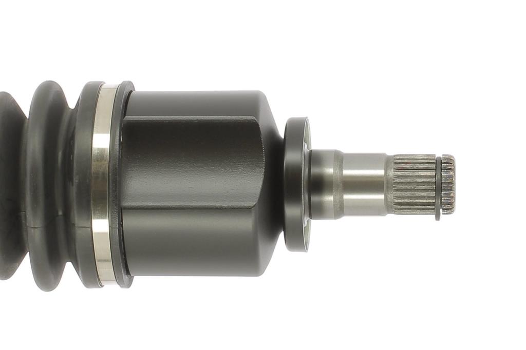 Cardã CEVAM 51373