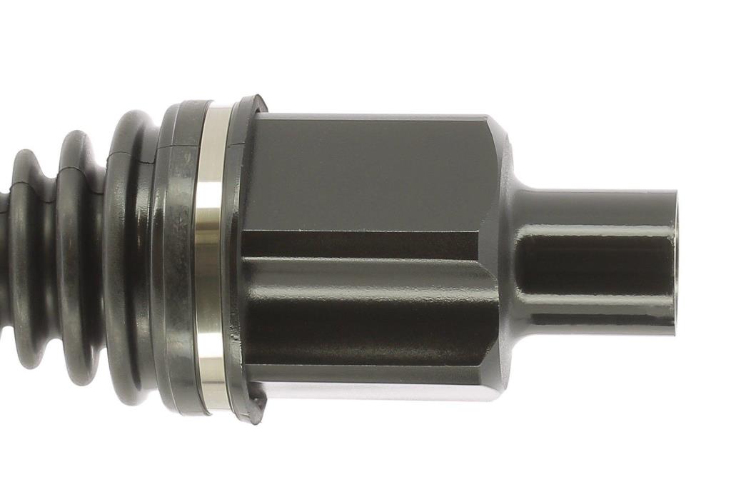 Cardã CEVAM 51742