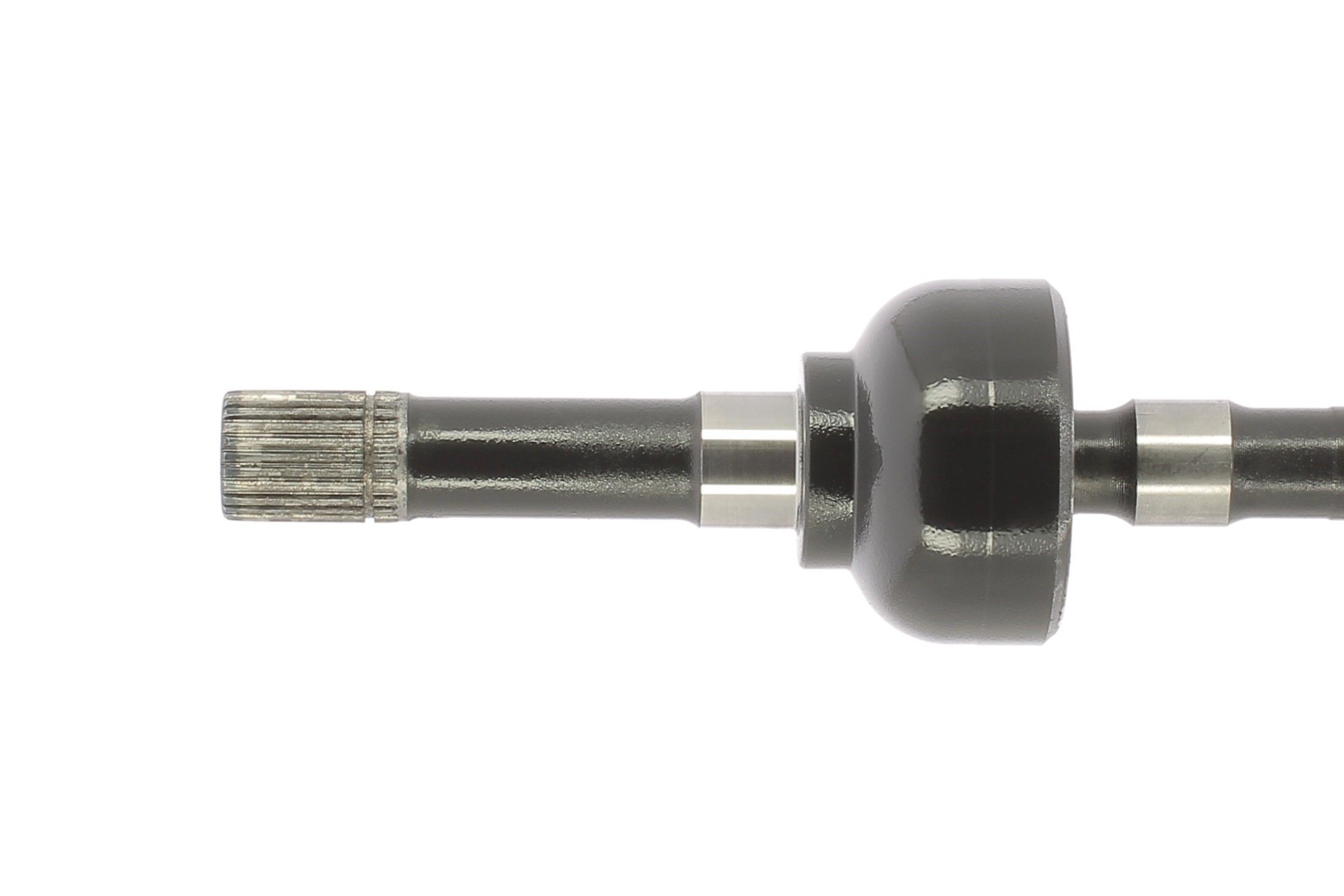 Cardã CEVAM ref. 51826