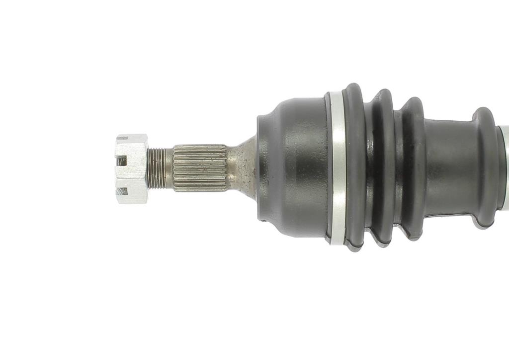 Cardã CEVAM 5478