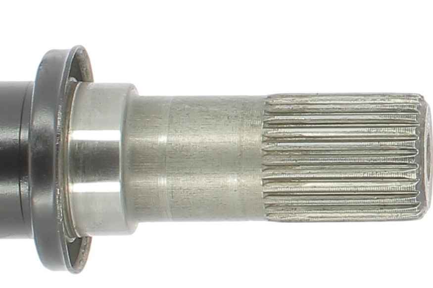 Cardã CEVAM 7420