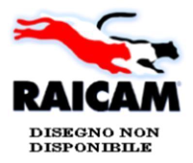 Kit de freins à tambours (Kit de frein arrière) Raicam 7463RP
