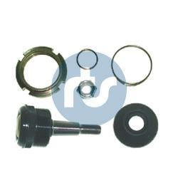 Rotule de suspension (Rotule de pivot) RTS S.A. 93-00162