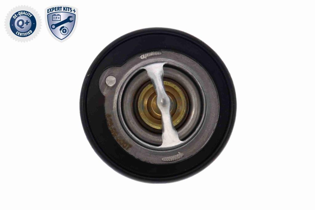 Thermostat d'eau (Calorstat) ACKOJA ref. A26-99-0007