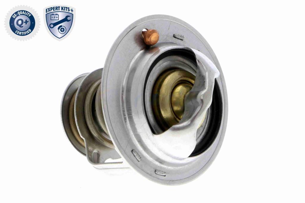 Thermostat d'eau (Calorstat) ACKOJA A26-99-0009
