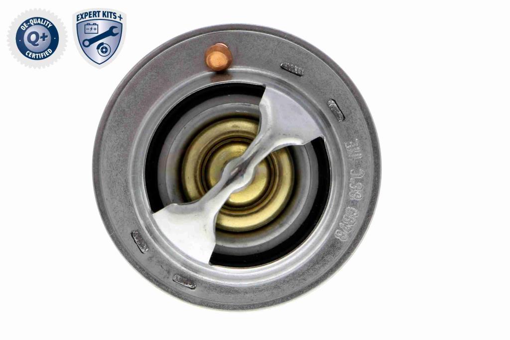 Thermostat d'eau (Calorstat) ACKOJA A26-99-0009