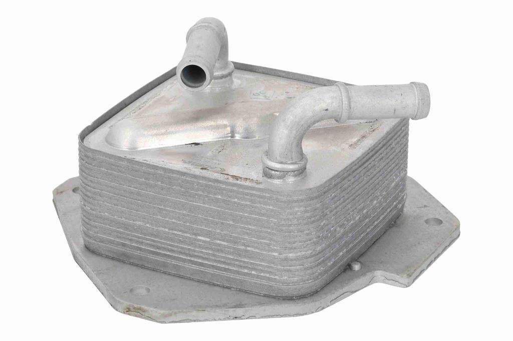 Radiador óleo motor ACKOJA ref. A32-60-0010