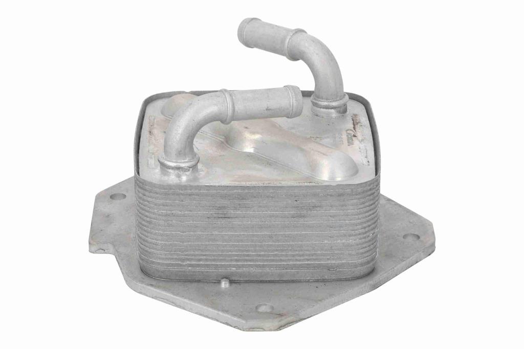 Radiador óleo motor ACKOJA ref. A32-60-0010