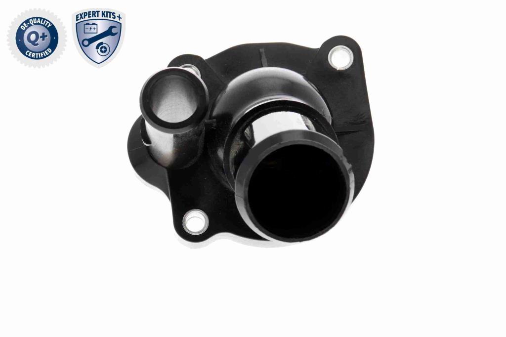 Termostato, refrigerante ACKOJA ref. A32-99-0005