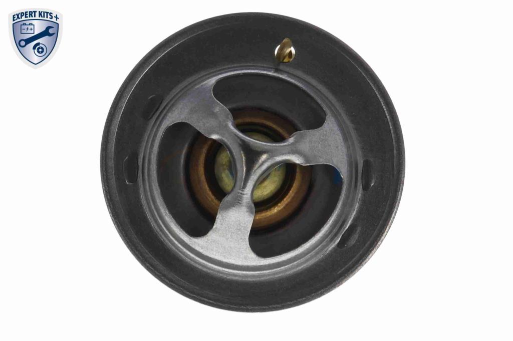 Thermostat d'eau (Calorstat) ACKOJA ref. A32-99-0088