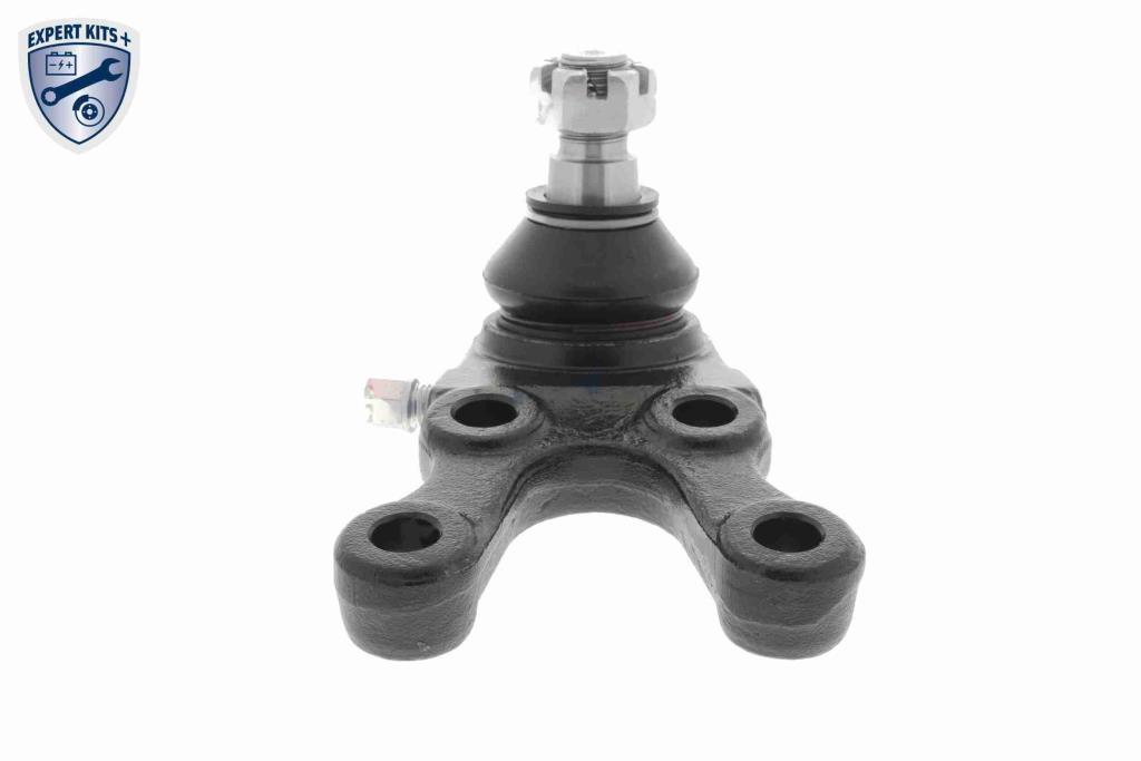 Rotule de suspension (Rotule de pivot) ACKOJA A37-1131