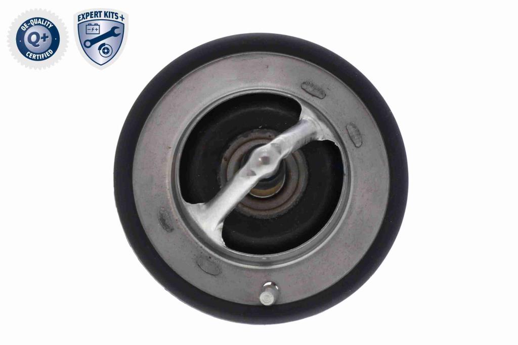Thermostat d'eau (Calorstat) ACKOJA A37-99-0006