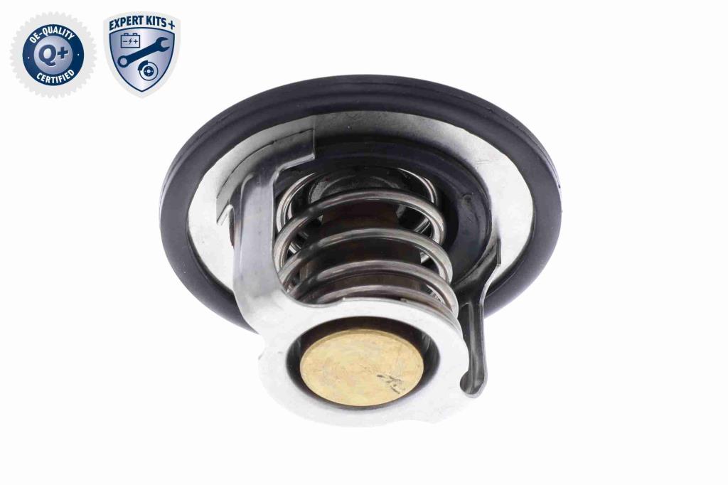 Thermostat d'eau (Calorstat) ACKOJA A37-99-0006