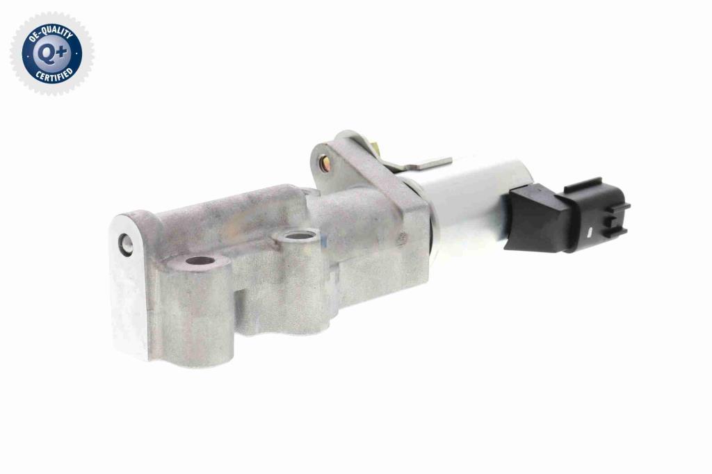 Tapón taladro tapa balancines ACKOJA A38-0278