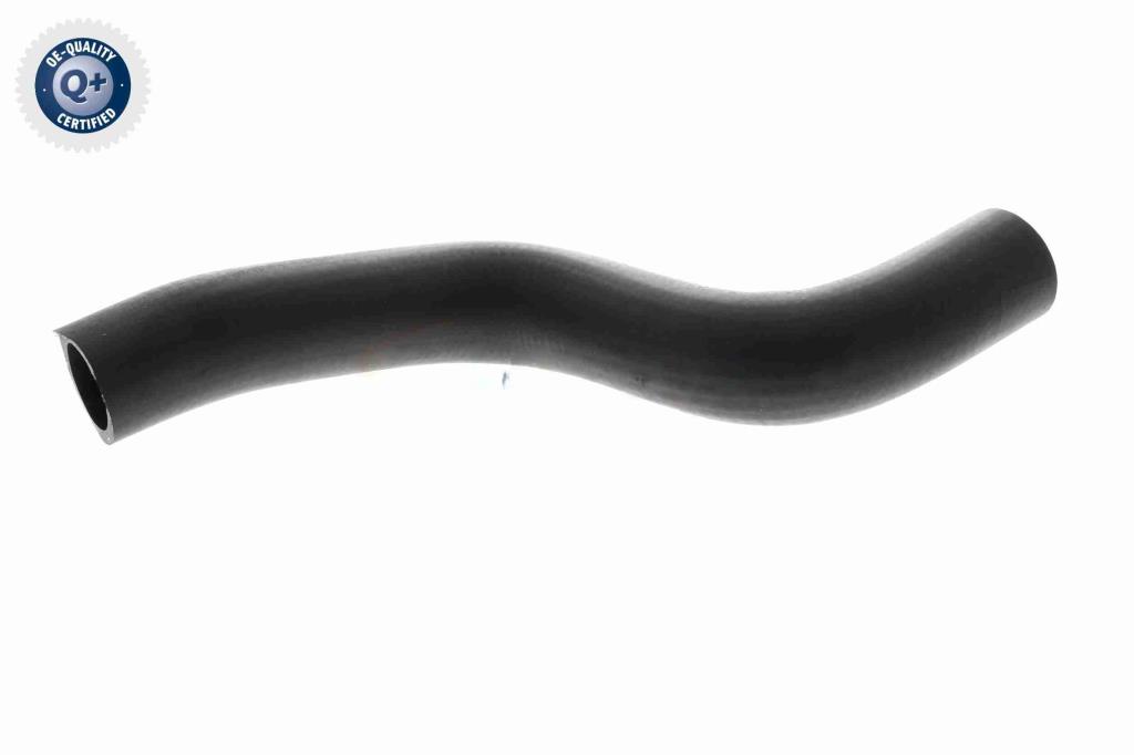 Tubería de radiador ACKOJA ref. A38-1600
