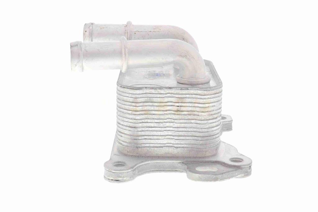 Radiador óleo motor ACKOJA ref. A38-60-0004