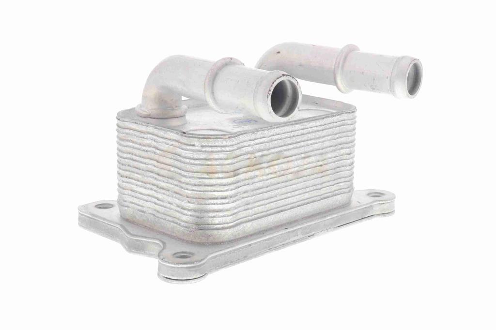 Radiador óleo motor ACKOJA ref. A38-60-0004