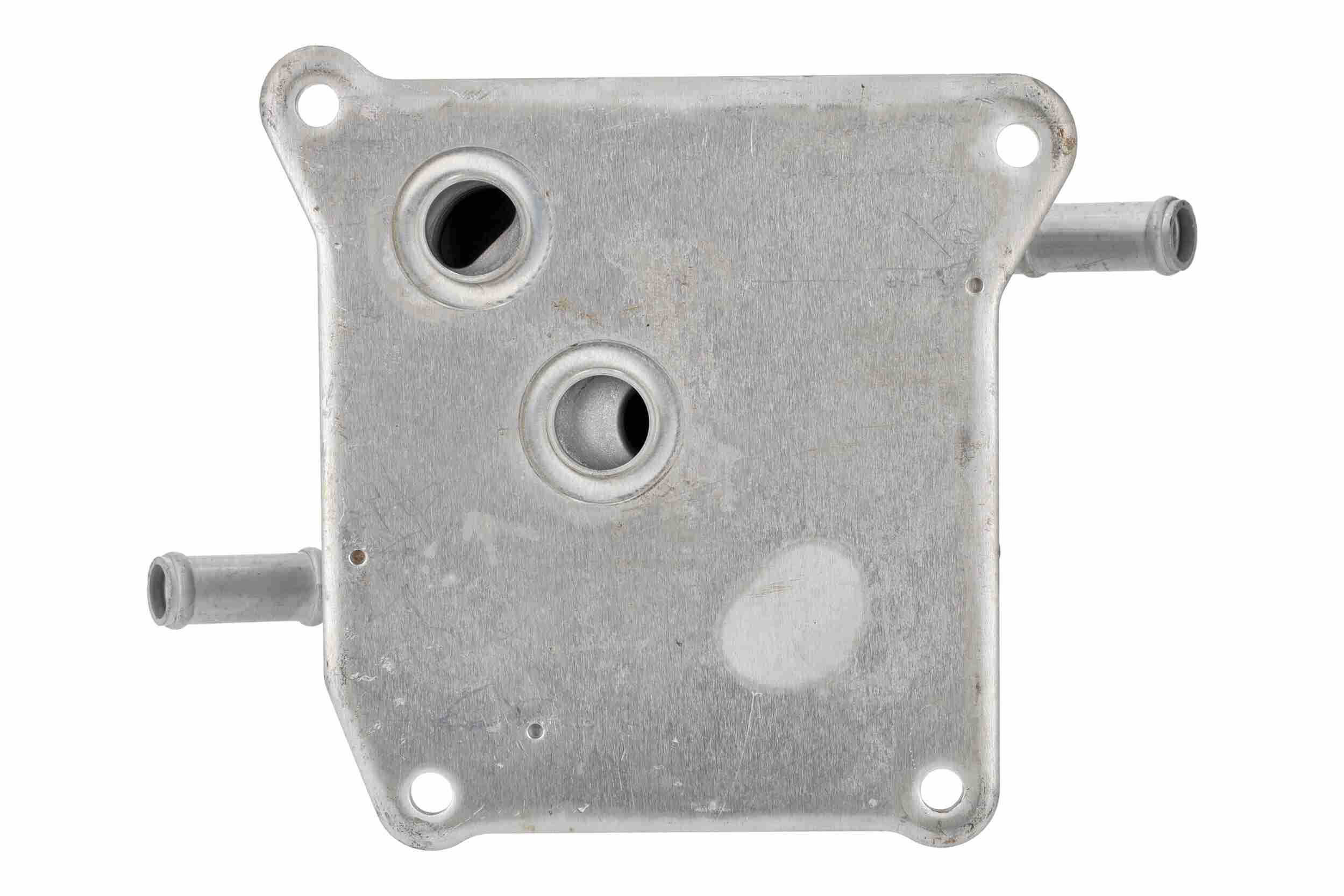 Radiador óleo motor ACKOJA ref. A38-60-0014