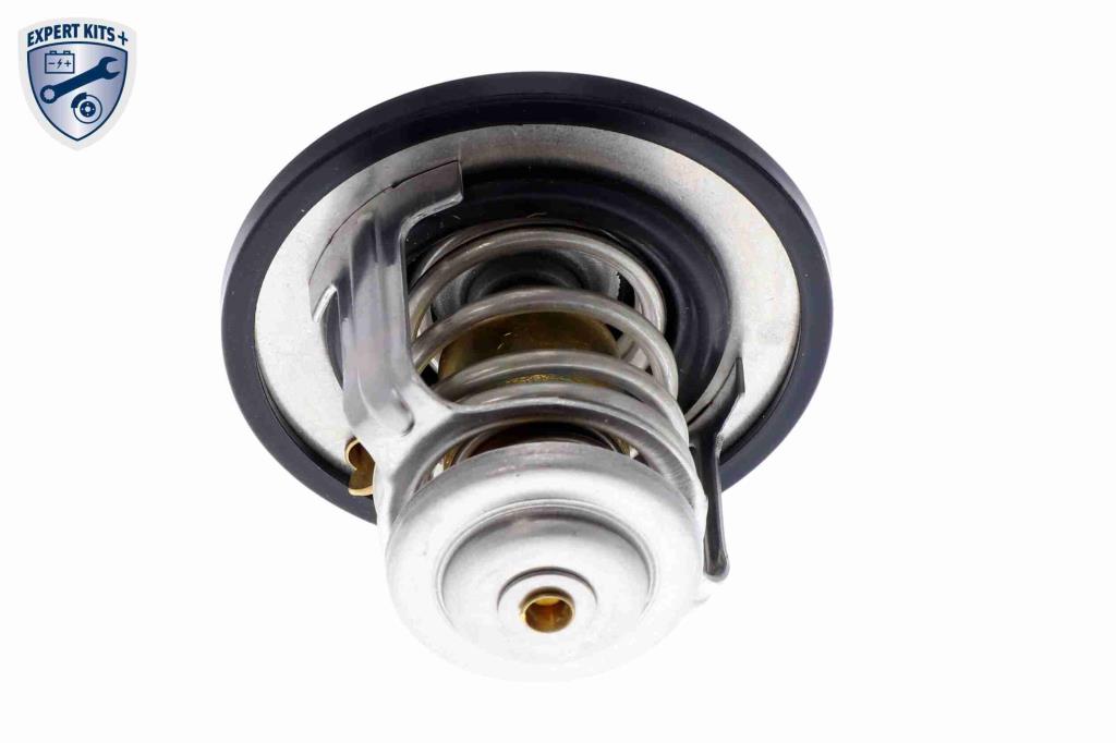 Thermostat d'eau (Calorstat) ACKOJA ref. A38-99-0003