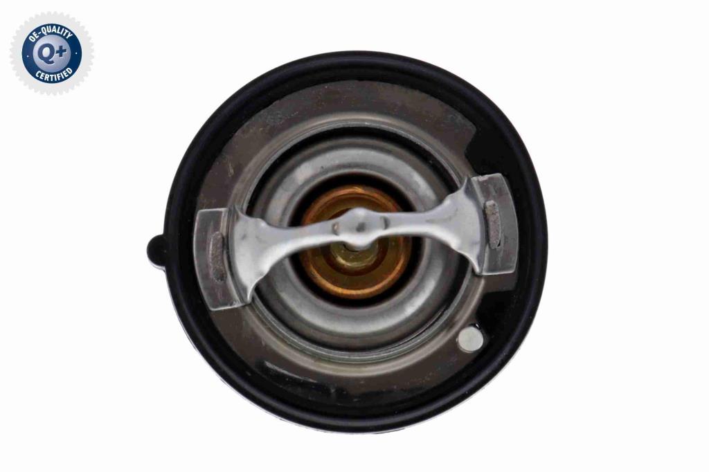 Termostato, refrigerante ACKOJA ref. A38-99-0005