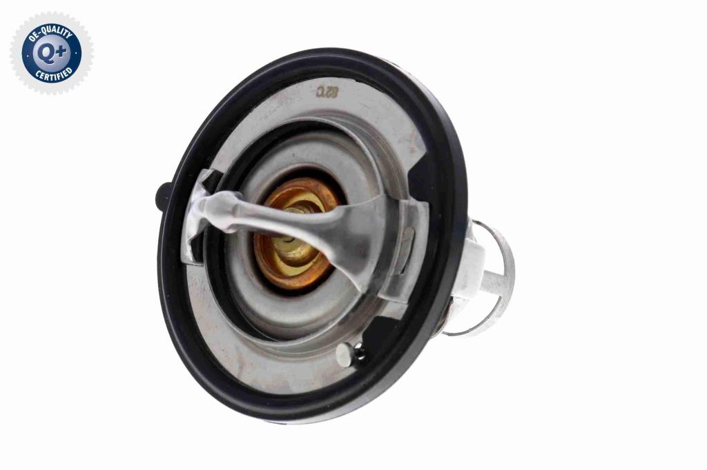 Termostato, refrigerante ACKOJA ref. A38-99-0005