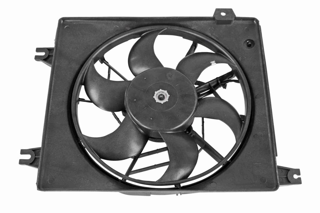 Butée hydraulique Coupé