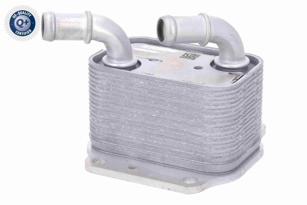 Radiador óleo motor ACKOJA ref. A52-60-0024