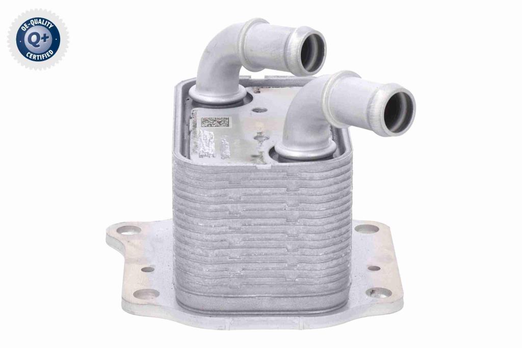 Radiador óleo motor ACKOJA ref. A52-60-0024