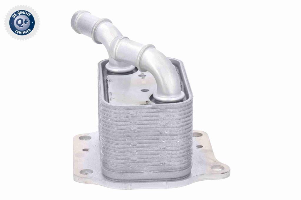 Radiador óleo motor ACKOJA ref. A52-60-0024