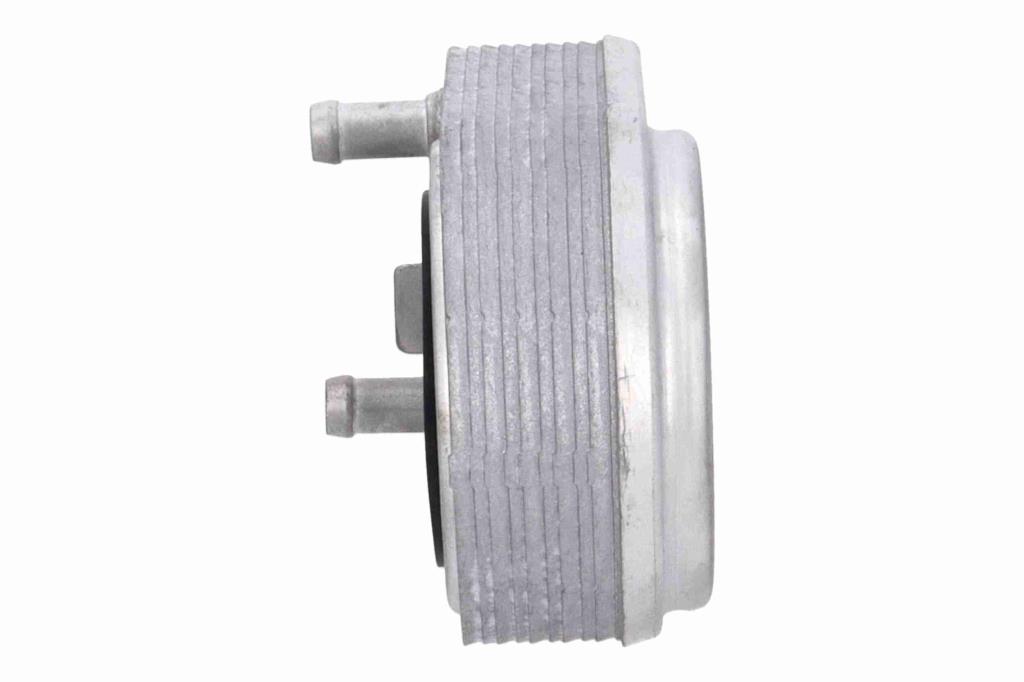 Radiador óleo motor ACKOJA ref. A52-60-0029
