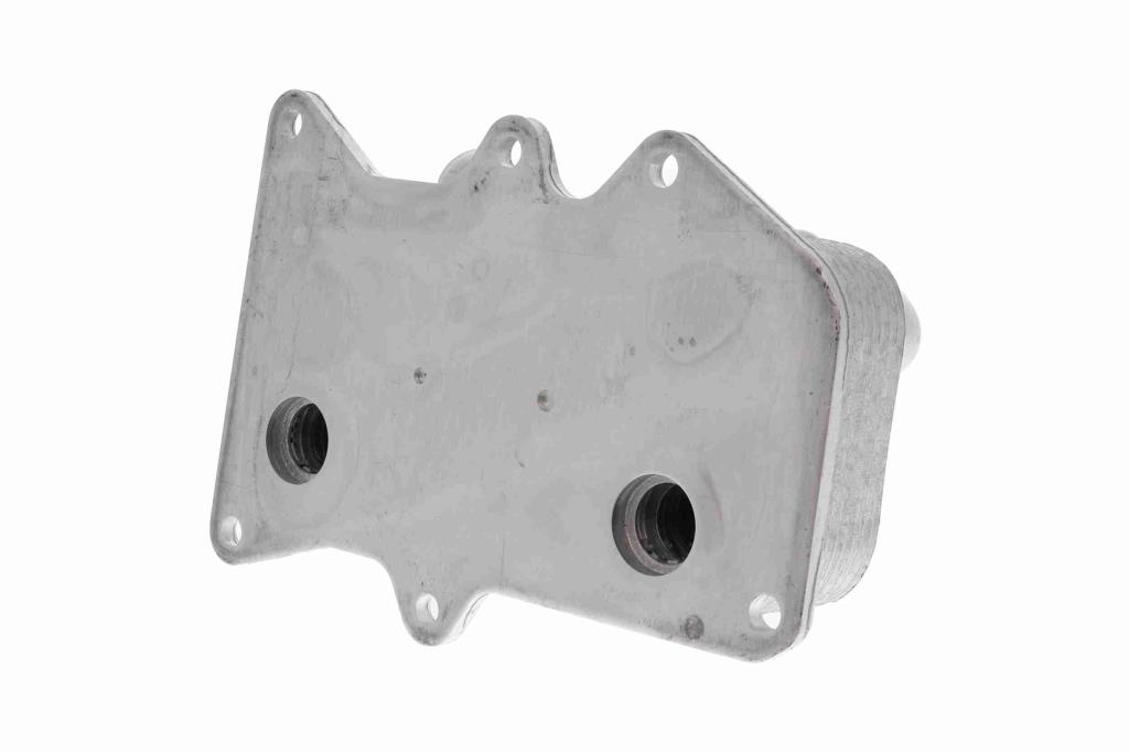 Radiador óleo motor ACKOJA ref. A52-60-1006
