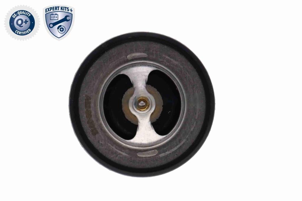 Thermostat d'eau (Calorstat) ACKOJA ref. A52-99-0015