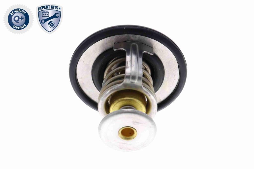 Thermostat d'eau (Calorstat) ACKOJA ref. A52-99-0015
