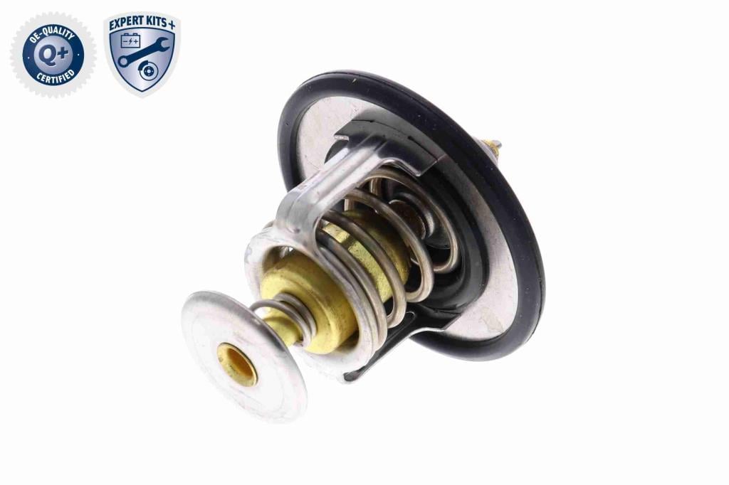 Thermostat d'eau (Calorstat) ACKOJA ref. A52-99-0015