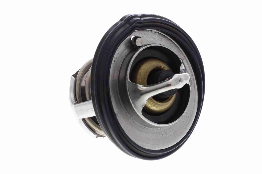 Thermostat d'eau (Calorstat) ACKOJA A52-99-0016