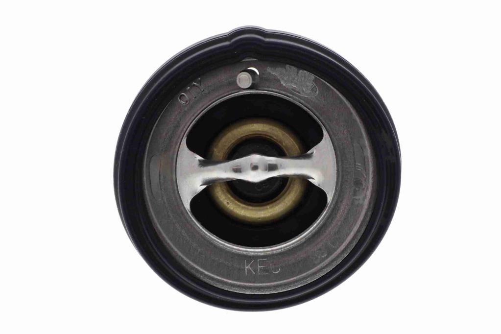 Thermostat d'eau (Calorstat) ACKOJA A52-99-0016